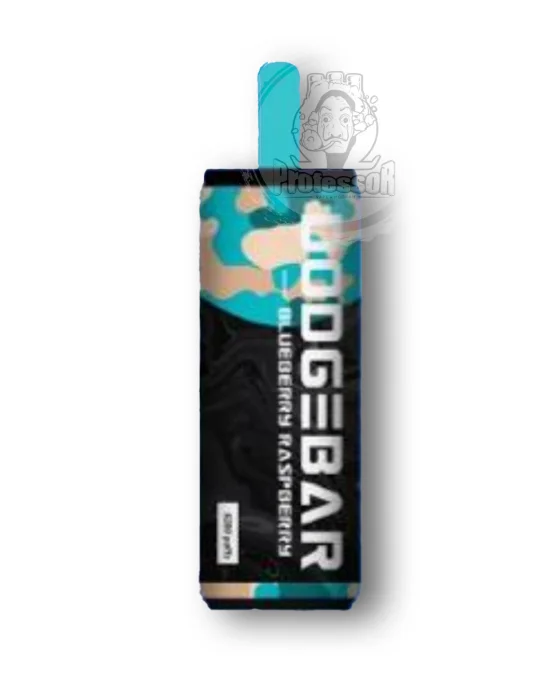dodge bar blueberry raspberry (6200puffs)