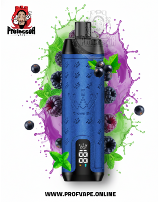 Al Fakher crown bar sound Disposable (12000 puffs) blackcurrant mint