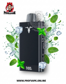 ignite Disposable (15000 puffs) mint ice
