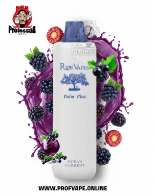 Ripe Vapes Palm Plus Disposable (4000 Puffs) Ocean Currant