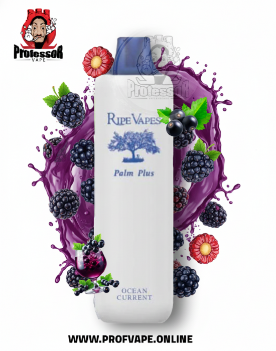 Ripe Vapes Palm Plus Ocean Currant سحبة رايب فيبز بالم بلس أوشن كارنت 4000