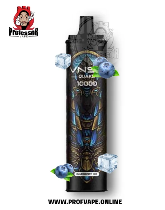 VNSN Disposable blueberry ice (10000uffs)