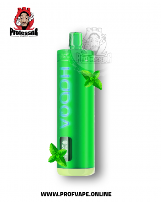 Nasty bar Disposable (15000 puffs) mint